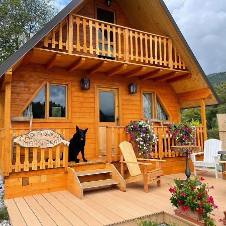 Apartamento Agri Camp Dolomiti Belluno Exterior foto