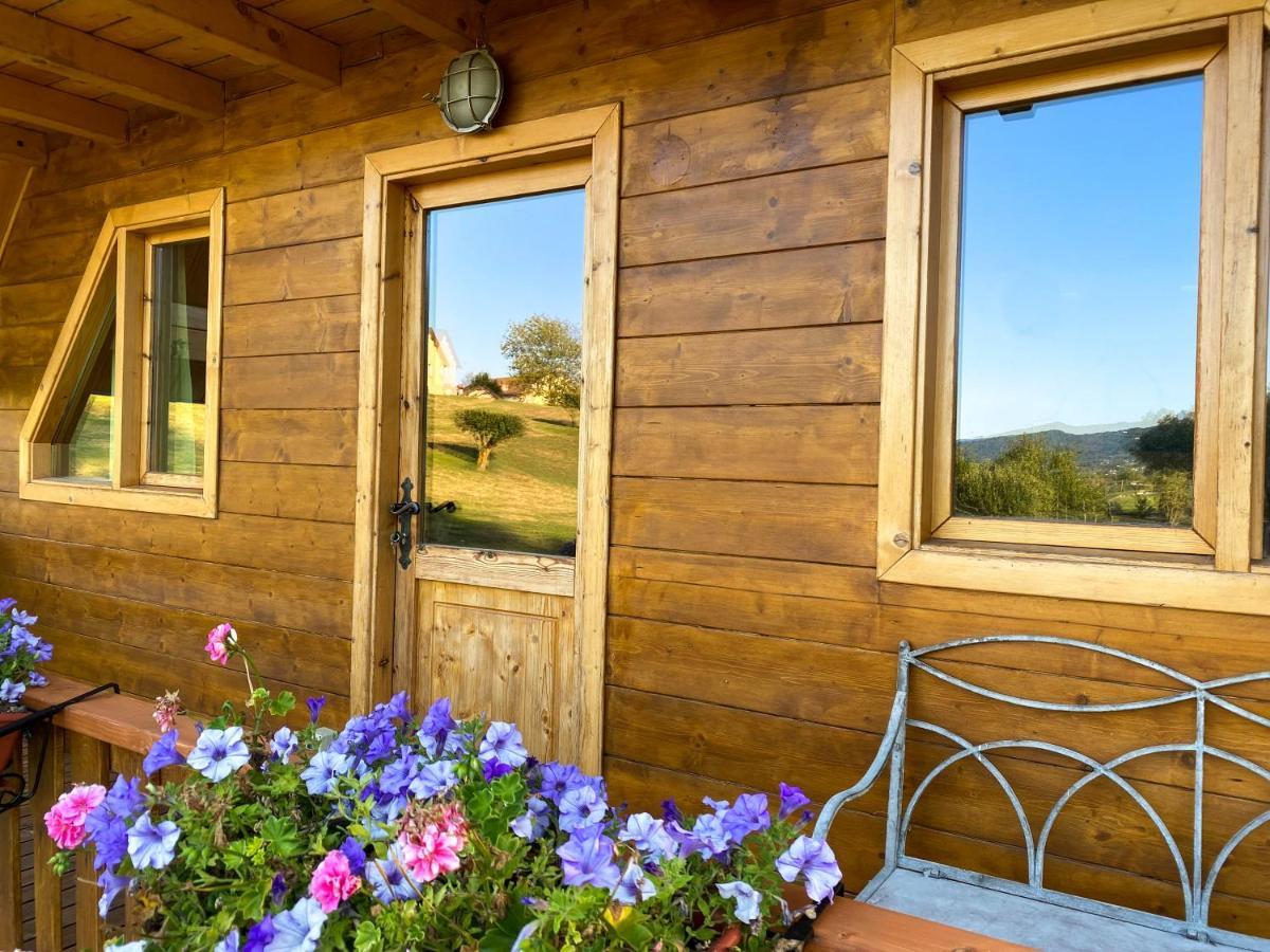 Apartamento Agri Camp Dolomiti Belluno Exterior foto