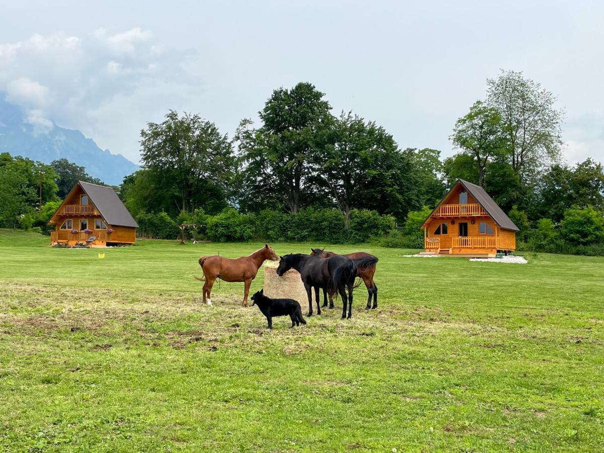 Apartamento Agri Camp Dolomiti Belluno Exterior foto