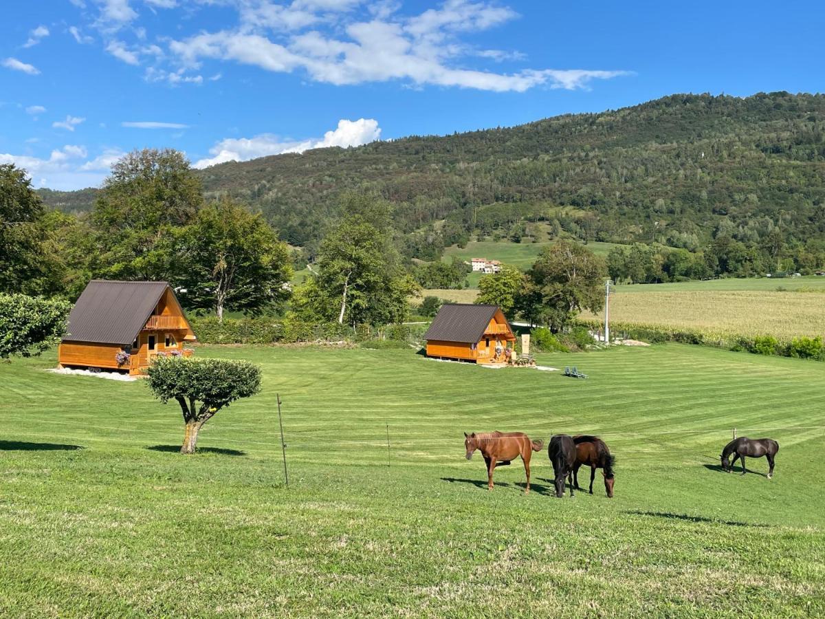 Apartamento Agri Camp Dolomiti Belluno Exterior foto
