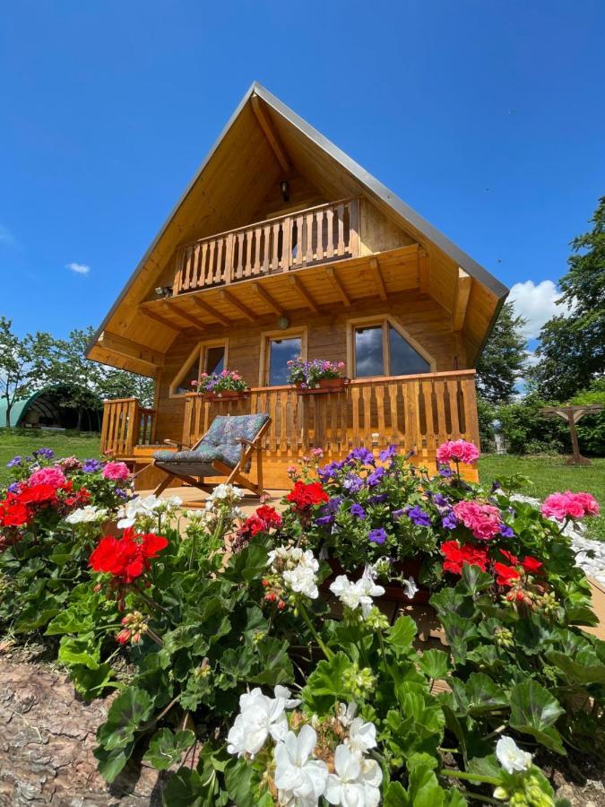 Apartamento Agri Camp Dolomiti Belluno Exterior foto