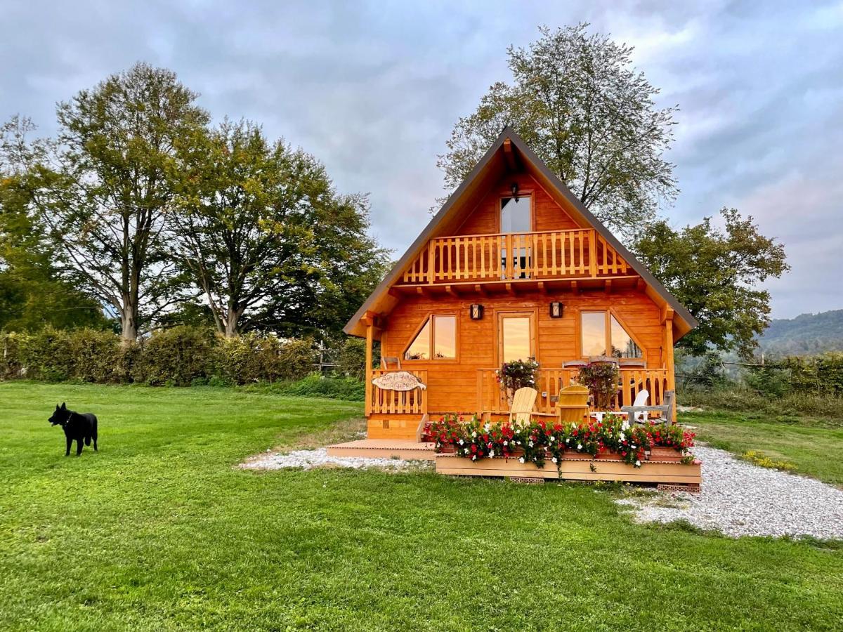 Apartamento Agri Camp Dolomiti Belluno Exterior foto