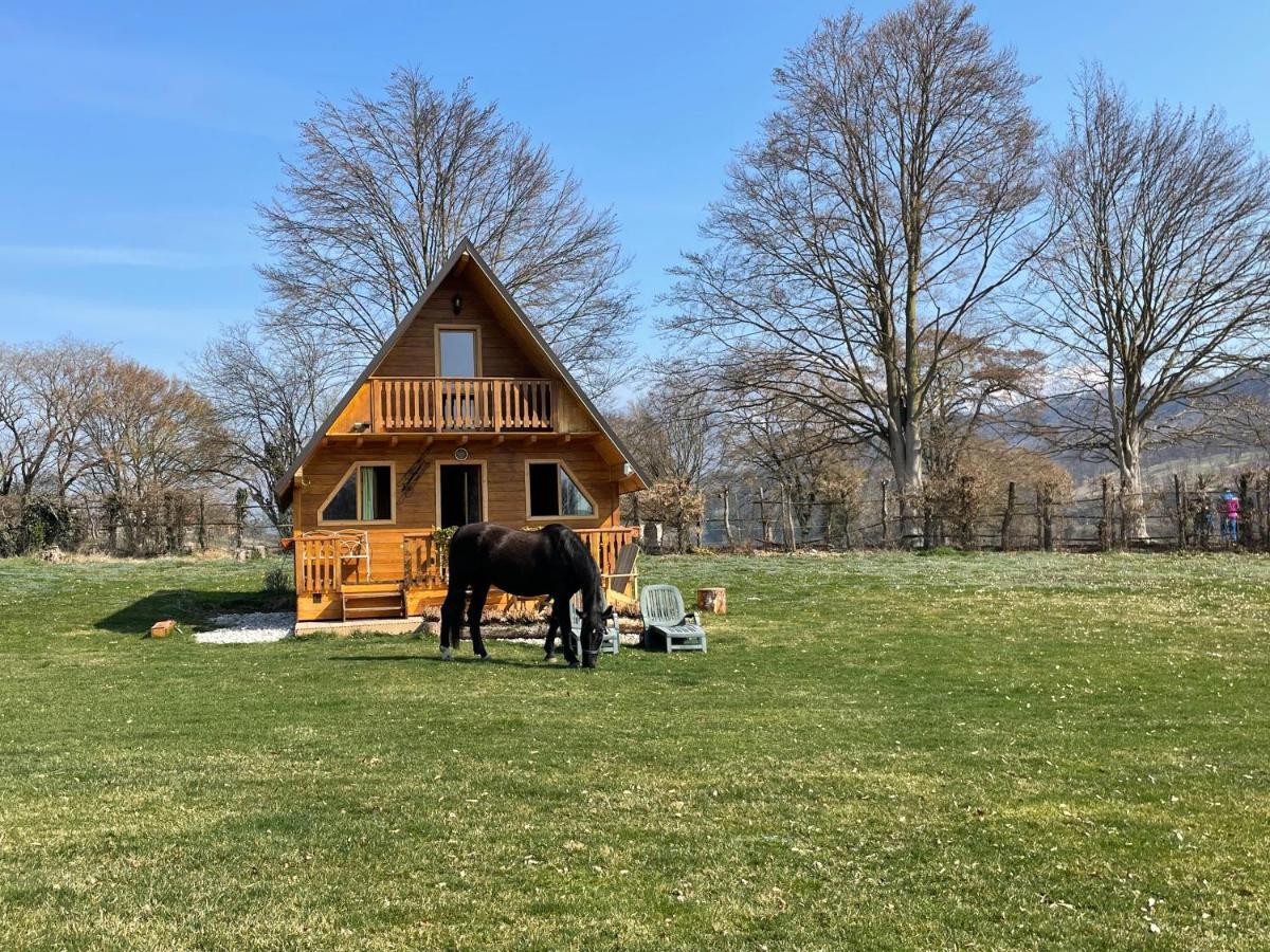 Apartamento Agri Camp Dolomiti Belluno Exterior foto